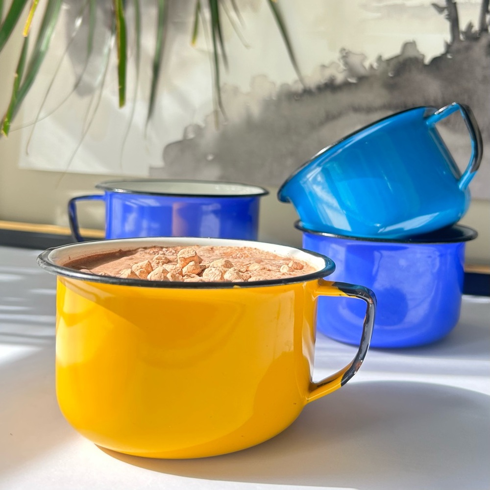 🌴Joyful Colorful Set of 4 Enamel  Mugs | 12oz